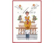 image Domine non sum garçon