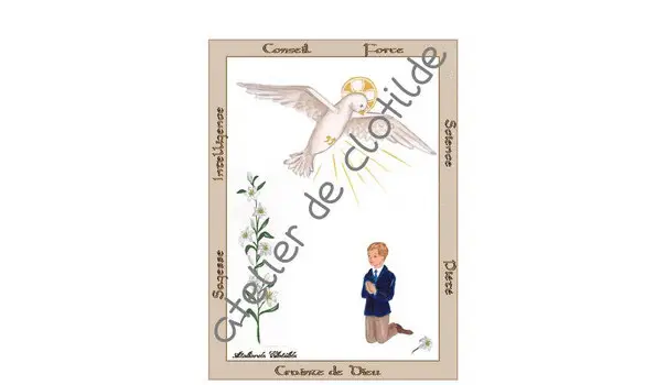 image Confirmation Esprit garçon beige