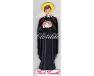 Saint Camille de lélis